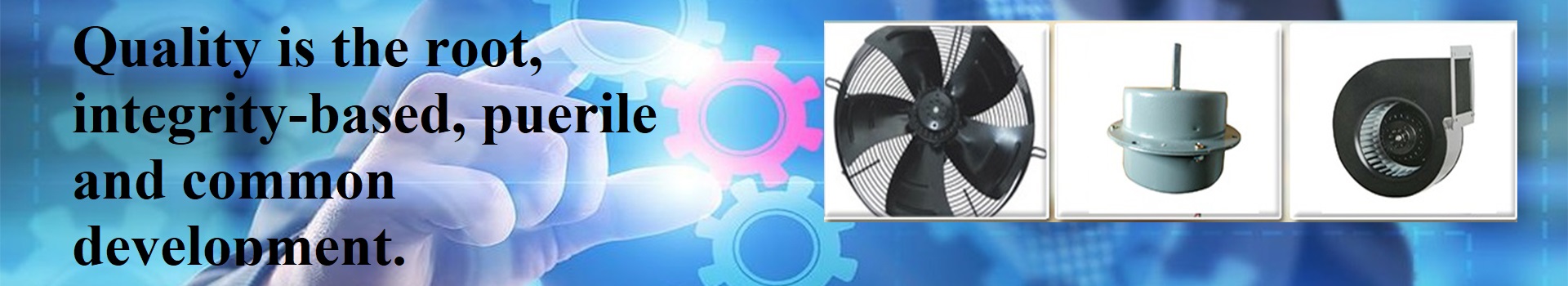 Zhejiang Siye Motor Co., Ltd.